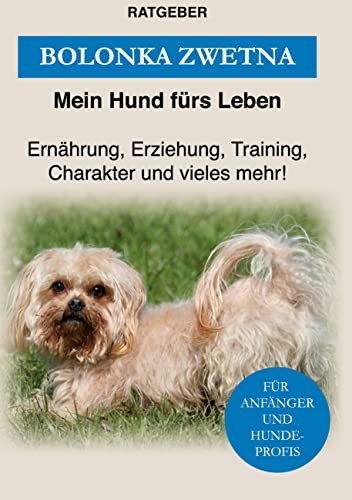 Bolonka Zwetna: Erziehung, Training und Charakter von Bolonka Zwetna Bolonka Zwetna: Erziehung, Training und Charakter von Bolonka Zwetna