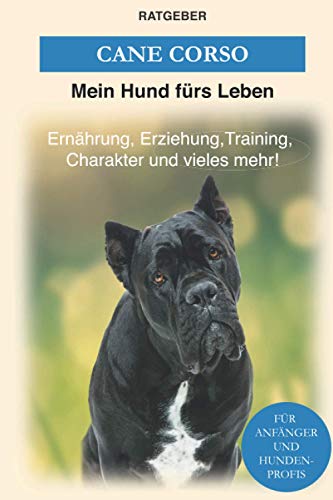 Cane Corso: Erziehung, Training, Charakter von Cane Corso - Der Cane Corso Ratgeber (Hunderassen) von Independently Published