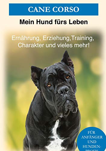 Cane Corso: Erziehung, Training, Charakter von Cane Corso - Der Cane Corso Ratgeber von Books on Demand GmbH