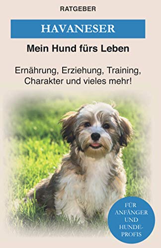Havaneser: Havaneser Erziehung, Ernährung, Charakter und vieles mehr! — Das Havaneser Buch (Hunderassen) Havaneser: Havaneser Erziehung, Ernährung, Charakter und vieles mehr! — Das Havaneser Buch (Hunderassen) von Independently Published