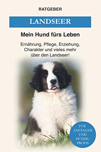 Landseer: Ernährung, Pflege, Erziehung, Charakter und vieles mehr über den Landseer Landseer: Ernährung, Pflege, Erziehung, Charakter und vieles mehr über den Landseer