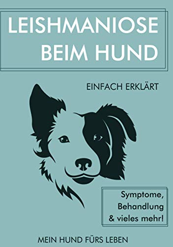 Leishmaniose bei Hunden: Leishmaniose beim Hund einfach erklärt - Symptome, Behandlung und vieles mehr! Leishmaniose bei Hunden: Leishmaniose beim Hund einfach erklärt - Symptome, Behandlung und vieles mehr!