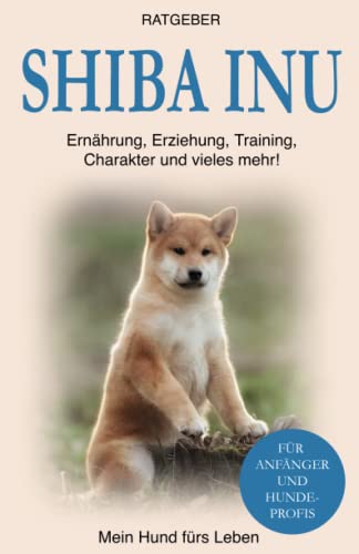 Shiba Inu: Erziehung, Training und Charakter von Shiba Inu