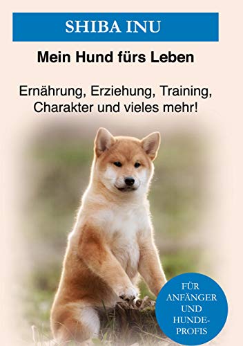 Shiba Inu: Erziehung, Training und Ernährung von Shiba Inu