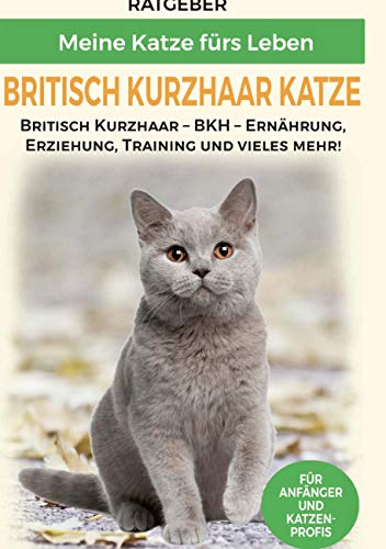 Britisch Kurzhaar Katze: Britisch Kurzhaar Katze Ratgeber - BKH Katze - Erziehung, Ernährung und Pflege von Books on Demand GmbH