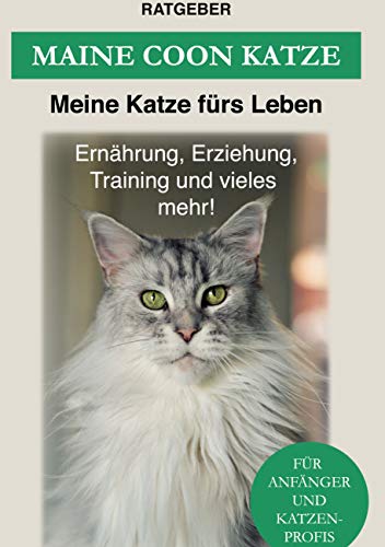 Maine Coon: Maine Coon Katze Ratgeber - Erziehung, Ernährung und Pflege von Books on Demand GmbH