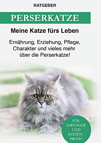 Perserkatze: Ernährung, Erziehung, Pflege, Charakter und vieles mehr über die Perserkatze