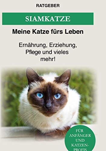 Siam Katze: Siamkatze - Ernährung, Erziehung, Pflege und vieles mehr!