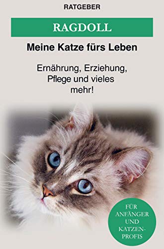 Ragdoll Katze: Ernährung, Erziehung und Pflege der Ragdoll Katze von Bookmundo Direct