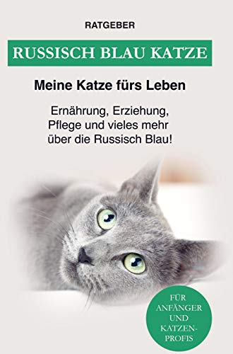 Russisch Blau: Ernährung, Erziehung, Pflege, Charakter und vieles mehr über die Russisch Blau Katzen