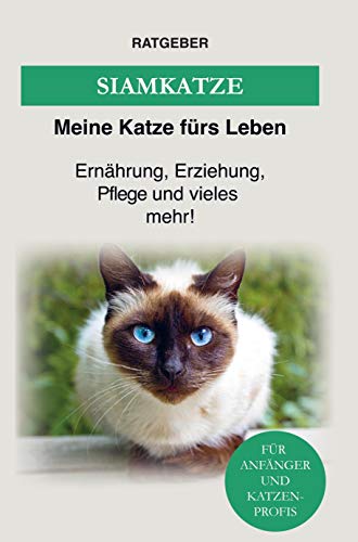 Siamkatze: Ernährung, Erziehung, Pflege und vieles mehr über die Siam Katze! von Bookmundo Direct