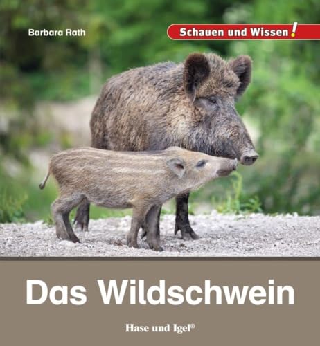 Das Wildschwein: Schauen und Wissen!