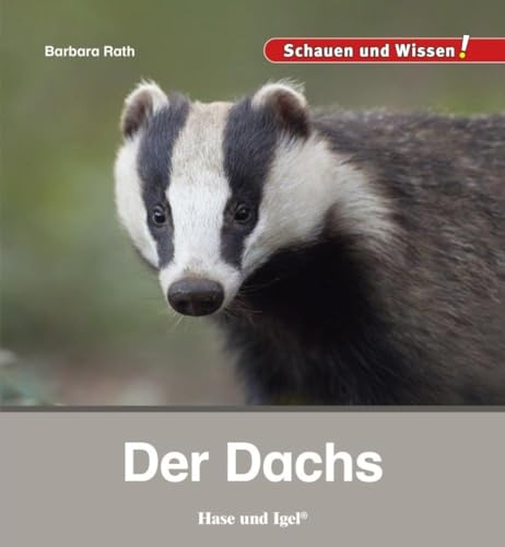Der Dachs: Schauen und Wissen!