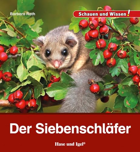 Der Siebenschläfer: Schauen und Wissen! von Hase und Igel Verlag
