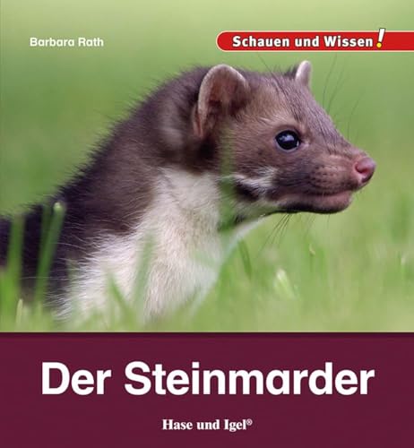Der Steinmarder: Schauen und Wissen! von Hase und Igel Verlag GmbH