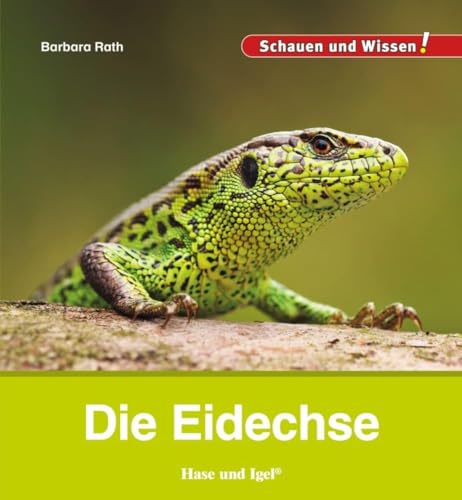 Die Eidechse: Schauen und Wissen!