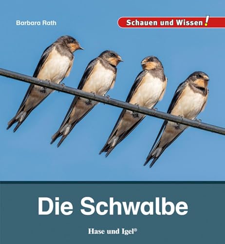 Die Schwalbe: Schauen und Wissen! von Hase und Igel Verlag