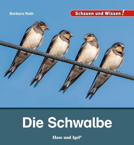 Die Schwalbe: Schauen und Wissen! von Hase und Igel Verlag GmbH