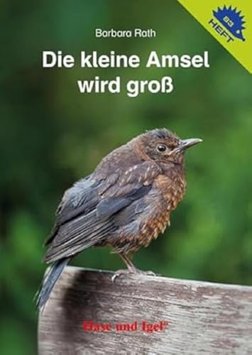 Die kleine Amsel wird groß / Igelheft 83 (Igelhefte) von Hase und Igel Verlag