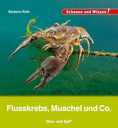 Flusskrebs, Muschel und Co.: Schauen und Wissen! von Hase und Igel Verlag