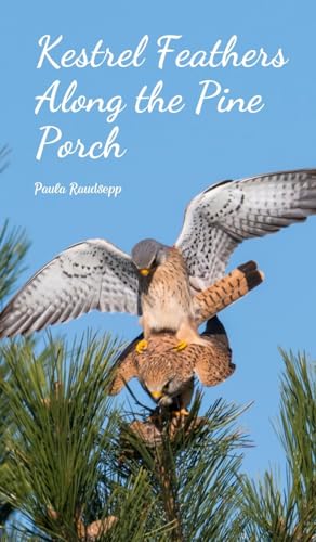 Kestrel Feathers Along the Pine Porch Kestrel Feathers Along the Pine Porch von Swan Charm