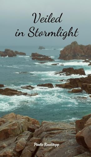 Veiled in Stormlight von Swan Charm Publishing