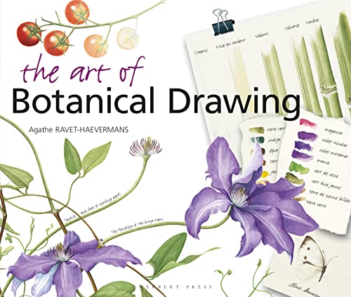 The Art of Botanical Drawing von Herbert Press