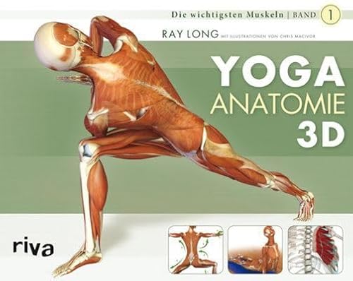 Yoga-Anatomie 3D: Band 1: Die wichtigsten Muskeln von RIVA