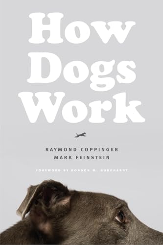 How Dogs Work von University of Chicago Press