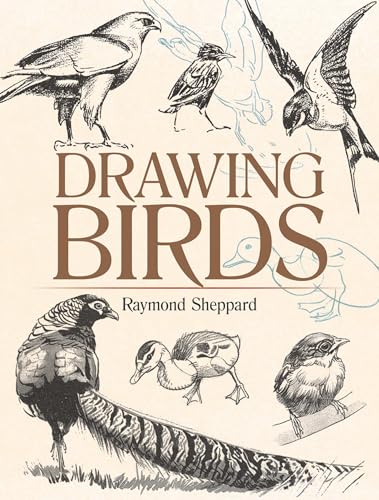 Drawing Birds (Dover Art Instruction) von Dover Publications