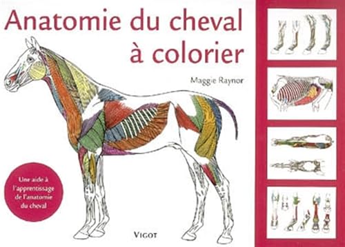 Anatomie du cheval à colorier: Une aide à l'apprentissage de l'anatomie du cheval