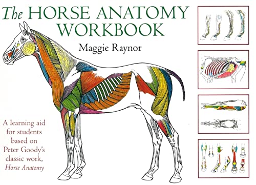 THe Horse Anatomy Workbook: A Learning Aid for Students Based on Peter Goody's Classic Work, Horse Anatomy