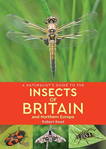 A Naturalist's Guide to the Insects of Britain and Northern Europe von John Beaufoy Publishing Ltd