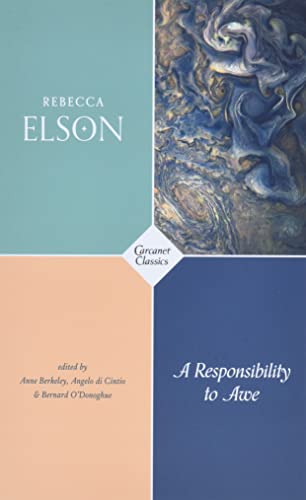 A Responsibility to Awe (Carcanet Classics) von Carcanet Press