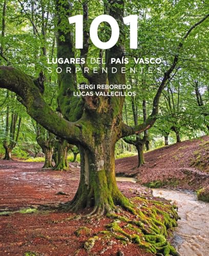101 Destinos del País Vasco sorprendentes (Guías Singulares) von Anaya Touring