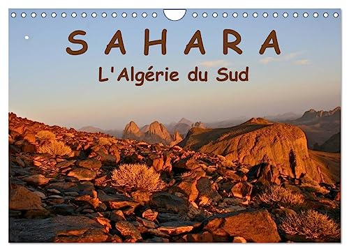 LE SAHARA L'Algérie du Sud (Calendrier mural 2025 DIN A4 vertical), CALVENDO calendrier mensuel: Le Sahara de l'Algérie du Sud : contact avec le désert de sable, ses habitants, sa nature et sa culture von Calvendo