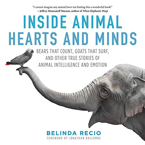 Inside Animal Hearts and Minds: Bears That Count, Goats That Surf, and Other True Stories of Animal Intelligence and Emotion von Skyhorse