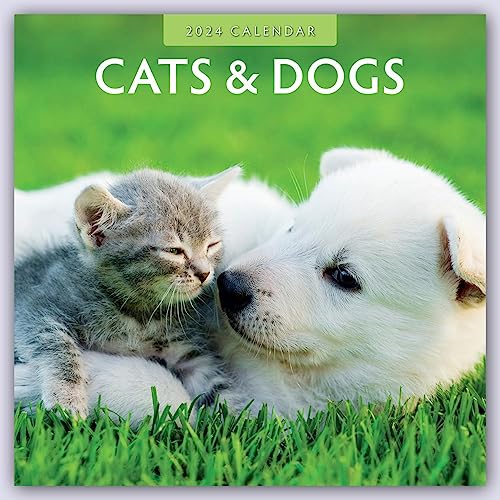 Cats & Dogs – Katzen & Hunde 2024 – 16-Monatskalender: Original Red Robin Publishing Ltd-Kalender [Mehrsprachig] [Kalender] (Wall-Kalender) von Brown Trout-Auslieferer Flechsig