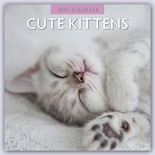 Cute Kittens – Niedliche Kätzchen 2024 – 16-Monatskalender: Original Red Robin Publishing Ltd-Kalender [Mehrsprachig] [Kalender] (Wall-Kalender) von Brown Trout-Auslieferer Flechsig