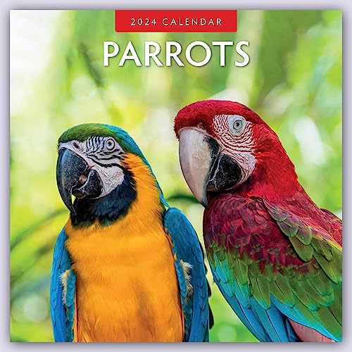 Parrots – Papageien 2024 – 16-Monatskalender: Original Red Robin Publishing Ltd-Kalender [Mehrsprachig] [Kalender] (Wall-Kalender) von Brown Trout-Auslieferer Flechsig