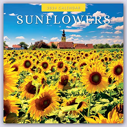 Sunflowers – Sonnenblumen 2024 – 16-Monatskalender: Original Red Robin Publishing Ltd-Kalender [Mehrsprachig] [Kalender] (Wall-Kalender) von Brown Trout-Auslieferer Flechsig