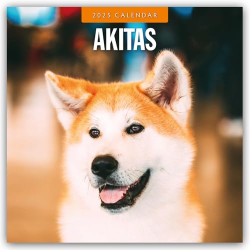 Akitas – Akita 2025 – 16-Monatskalender: Original Red Robin Publishing Ltd-Kalender [Mehrsprachig] [Kalender] (Wall-Kalender)