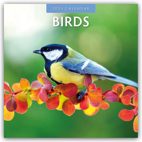 Birds – Vögel 2025 – 16-Monatskalender: Original Red Robin Publishing Ltd-Kalender [Mehrsprachig] [Kalender] (Wall-Kalender)
