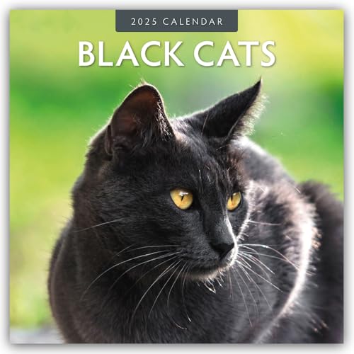 Black Cats – Schwarze Katzen 2025 – 16-Monatskalender: Original Red Robin Publishing Ltd-Kalender [Mehrsprachig] [Kalender] (Wall-Kalender)
