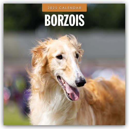 Borzois – Barsoi – Barzaia – Russischer Wolfshund 2025 – 16-Monatskalender: Original Red Robin Publishing Ltd-Kalender [Mehrsprachig] [Kalender] (Wall-Kalender)