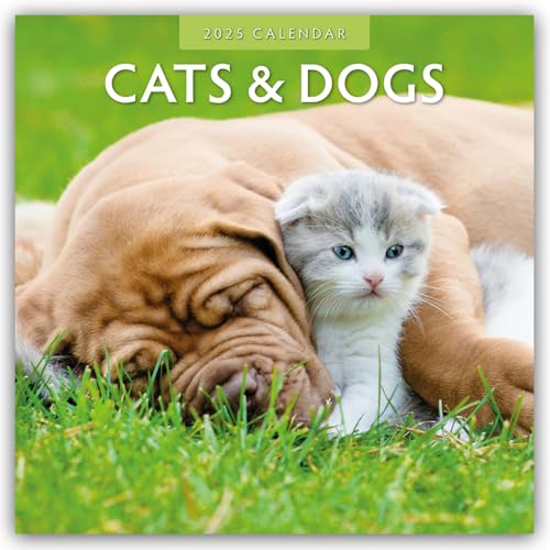 Cats & Dogs – Katzen & Hunde 2025 – 16-Monatskalender: Original Red Robin Publishing Ltd-Kalender [Mehrsprachig] [Kalender] (Wall-Kalender)