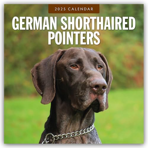 German Shorthaired Pointers – Deutscher Kurzhaar – Deutscher Kurzhaariger Vorstehhund 2025 – 16-Monatskalender: Original Red Robin Publishing Ltd-Kalender [Mehrsprachig] [Kalender] (Wall-Kalender)