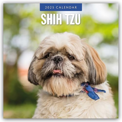 Shih Tzu 2025 – 16-Monatskalender: Original Red Robin Publishing Ltd-Kalender [Mehrsprachig] [Kalender] (Wall-Kalender)