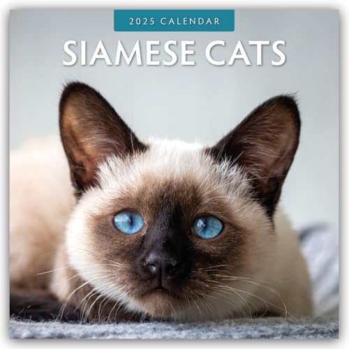 Siamese Cats – Siamkatzen – Siamesische Katzen 2025 – 16-Monatskalender: Original Red Robin Publishing Ltd-Kalender [Mehrsprachig] [Kalender] (Wall-Kalender)