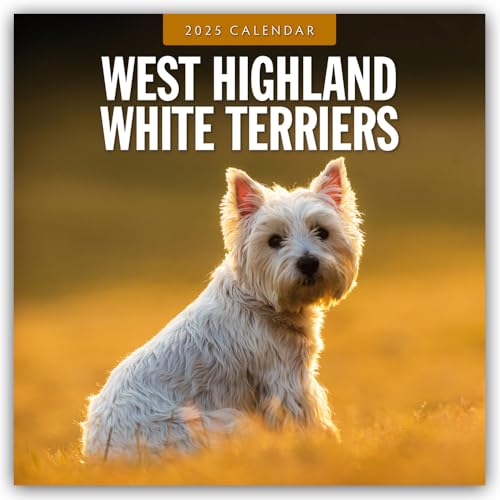 West Highland White Terriers – West Highland White Terrier – Westie 2025 – 16-Monatskalender: Original Red Robin Publishing Ltd-Kalender [Mehrsprachig] [Kalender] (Wall-Kalender)